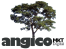 ANGICO logo